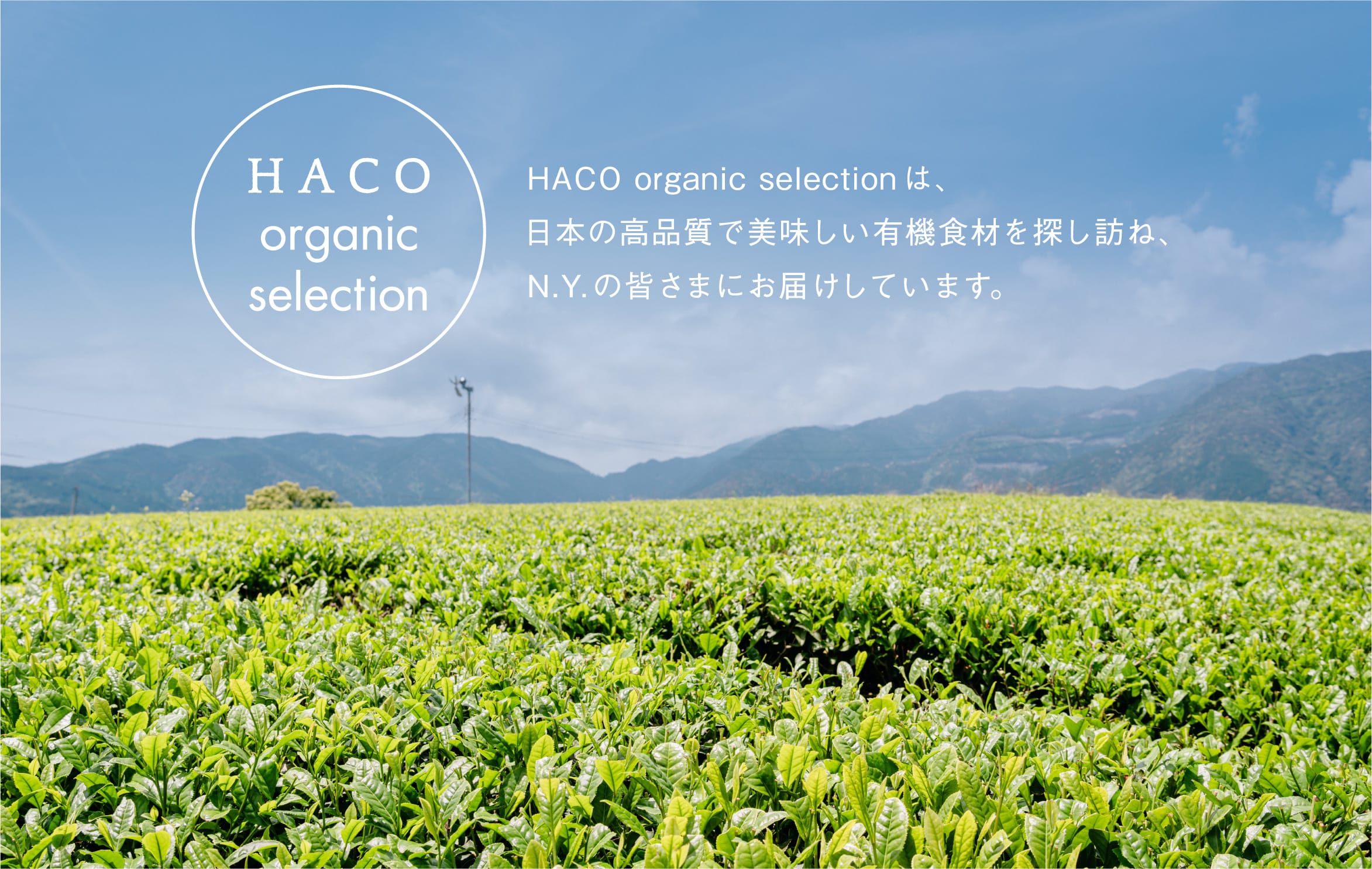 HACO organic selectionは、日本の高品質で美味しい有機食材を探し訪ね、N.Y.の皆さまにお届けしています。